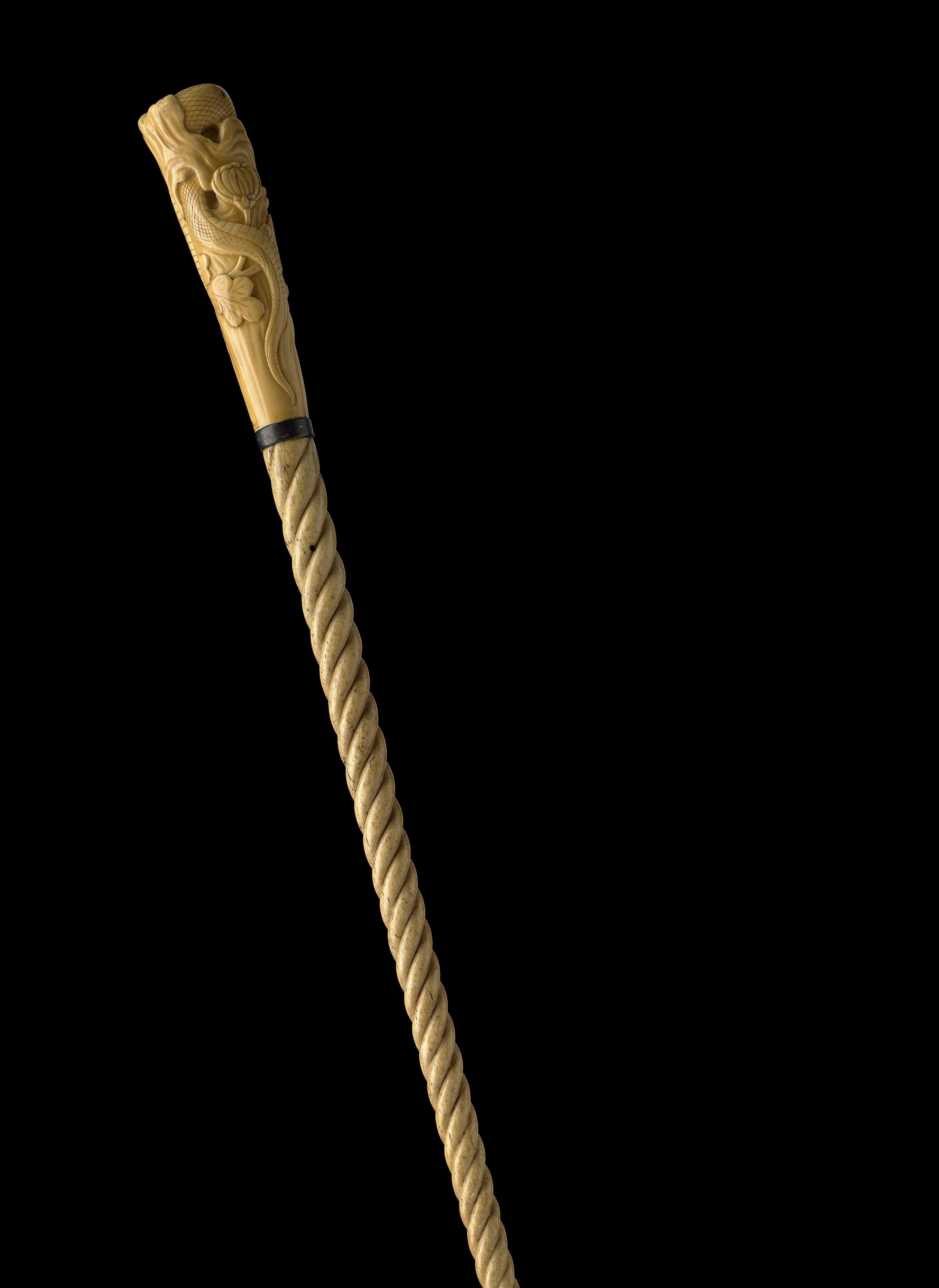 the poet's cane